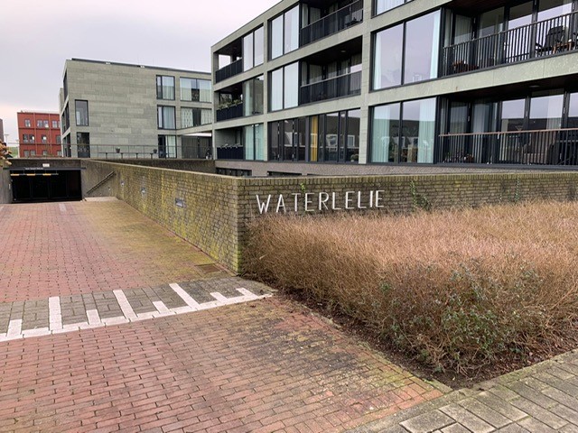 Watersnipstraat 6